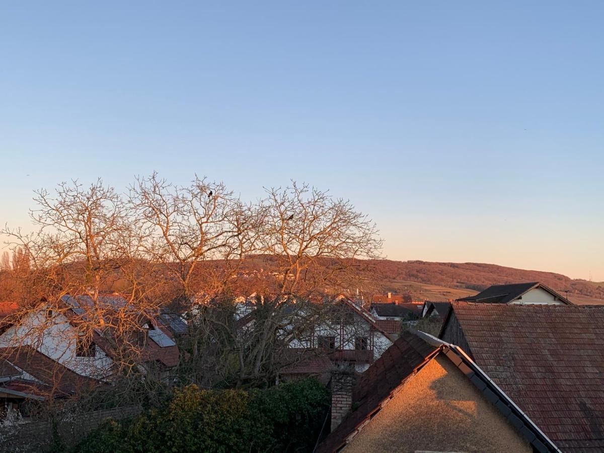 Ferienwohnung Baselblick, Eimeldingen Buitenkant foto